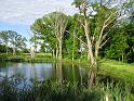 IMG_0308
