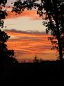 IMG_0593