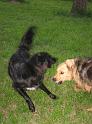 PlayTime