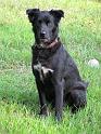 Sadie