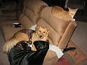 Shelby_Sasha_Sonney