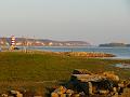 GraftonFerry